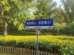 -香山公园