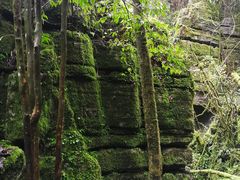 -梭布垭石林景区