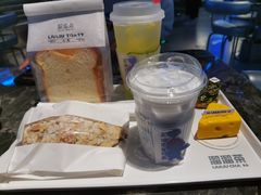 -TD66高山铁皮石斛养生茶饮