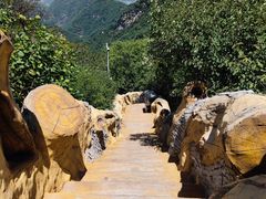 -少华山国家森林公园