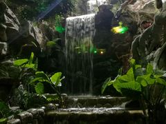 -多彩贵州城极地海洋世界