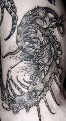 -众刺纹画·纹身·穿孔饰品·海娜定制