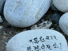 -布达拉宫