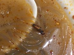 -东园小馆·早茶·淮扬小炒(三盛广场店)