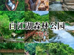 -广州白江湖森林公园