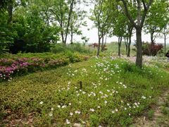 -同里国家湿地公园