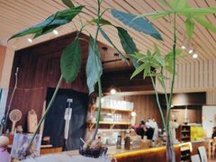 -沏点Trattoria意大利餐厅(新街口店)