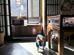 -云座·时光·观景咖啡厅(五爷庙店)