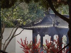 -秋霞圃