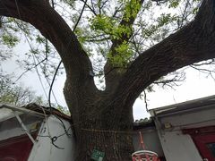 -北京国子监胡同