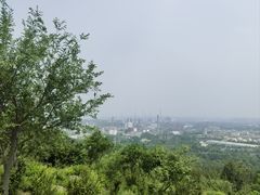 -白水寺森林公园
