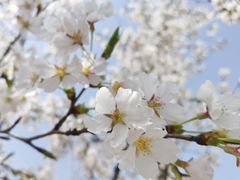 -宜兴龙背山森林公园