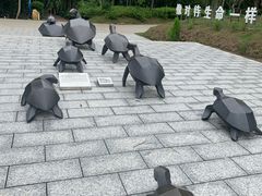 -广东惠东海龟国家级自然保护区