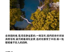 -秋霞圃