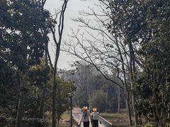 -长广溪湿地公园