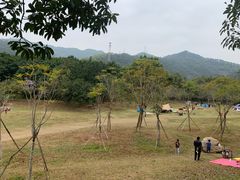 -田心森林公园