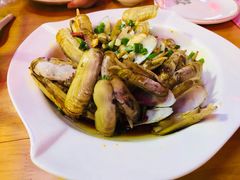-枸杞岛