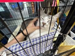 -谜盒子奇幻密室(南屏店)