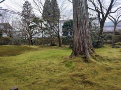 -三千院