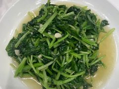 鸡毛菜-金春禧(世茂国际广场店)