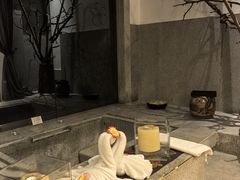 -春晖园度假酒店温泉