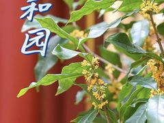 -颐和园