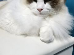 -零纪元VR体验馆·桌游(黄浦店)