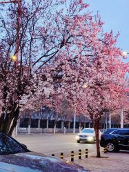 -盘子女人坊古装写真摄影(天津总店)