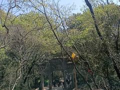 -灵岩山风景区