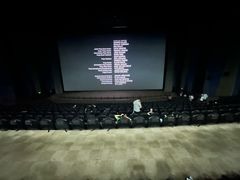 -天幕新彩云国际影城(激光巨幕店)