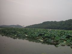 -月湖风景区