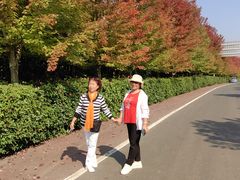 -南京枫彩漫城