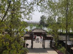 -合肥滨湖国家森林公园