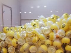 -元气寿司(东方宝泰店)