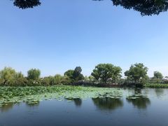 -无锡蠡湖国家湿地公园-蠡园
