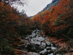 -光雾山旅游景区
