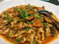 虎头呆烧青头菌-皖宴(合肥店)