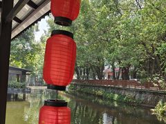 -侨美·唐荔园·40年地道粤菜