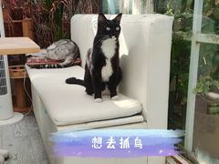 -小时光咖啡馆(北锣鼓巷店)