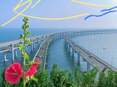 -星海湾跨海大桥
