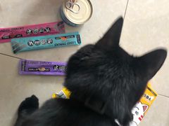 -唯美宠物生活馆(绿地国际生态城店)