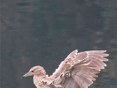 -重庆彩云湖湿地公园