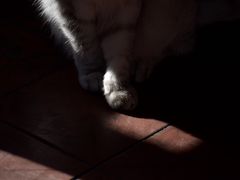 -不舍昼夜咖啡馆