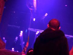 -波塞冬旅游度假区