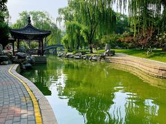 -万柳阁小馆·花园餐厅(龙潭湖店)