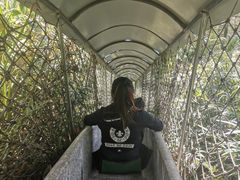 -玉苍山国家森林公园