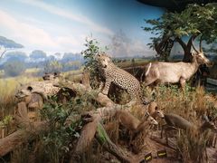 -陕西自然博物馆