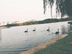 -东华大学(松江校区)