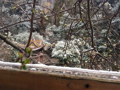 -黄山温泉国际旅游度假区