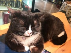 -么么咖啡(燕郊店)